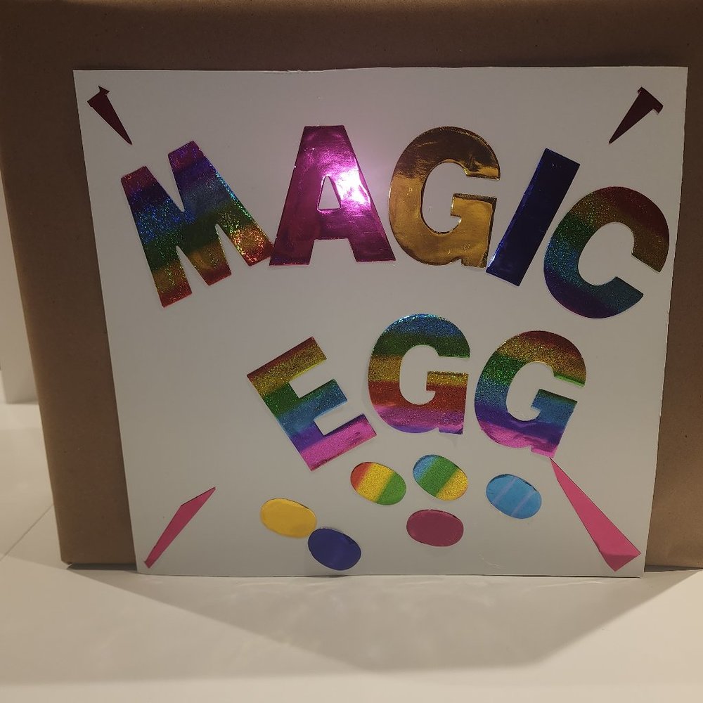 THE MAGIC EGG MYSTERY BOX NWOT